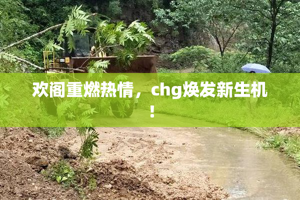 欢阁重燃热情，chg焕发新生机！