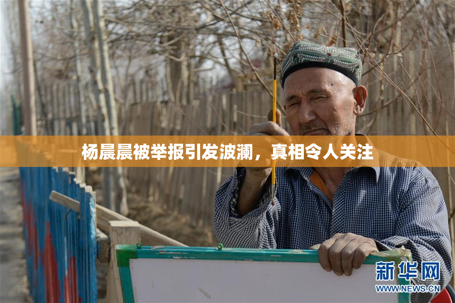 杨晨晨被举报引发波澜，真相令人关注