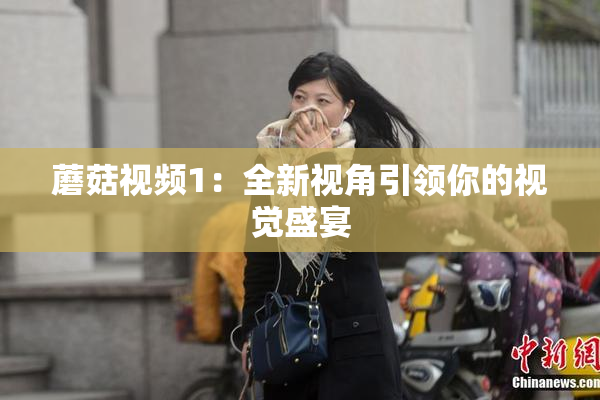 蘑菇视频1：全新视角引领你的视觉盛宴