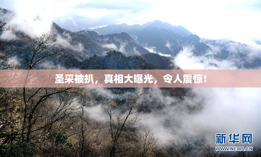圣采被扒，真相大曝光，令人震惊！