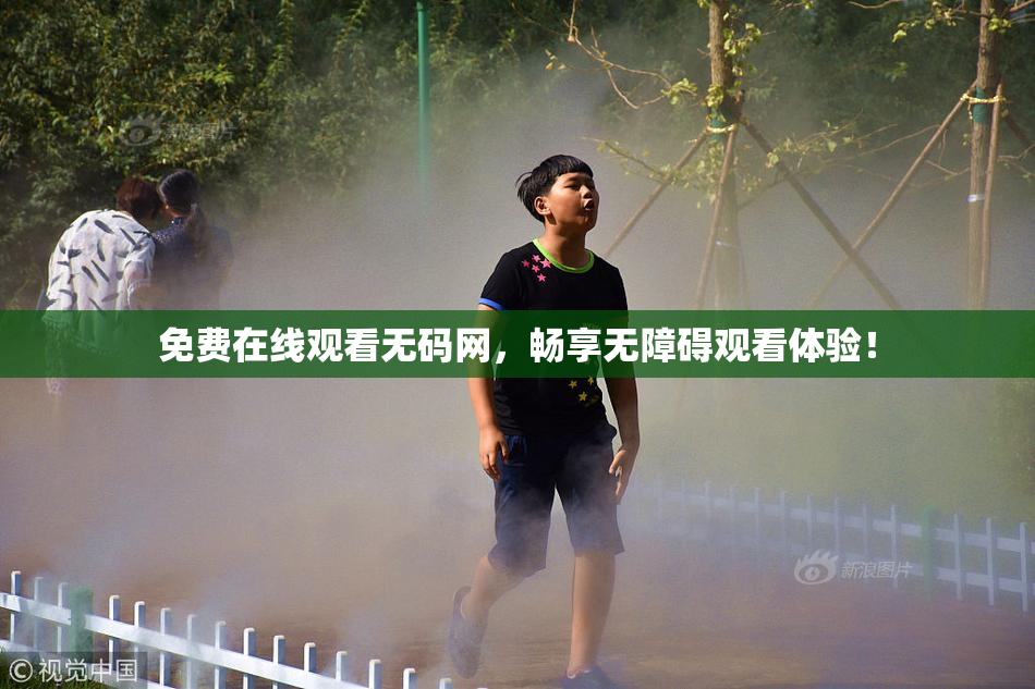 免费在线观看无码网，畅享无障碍观看体验！