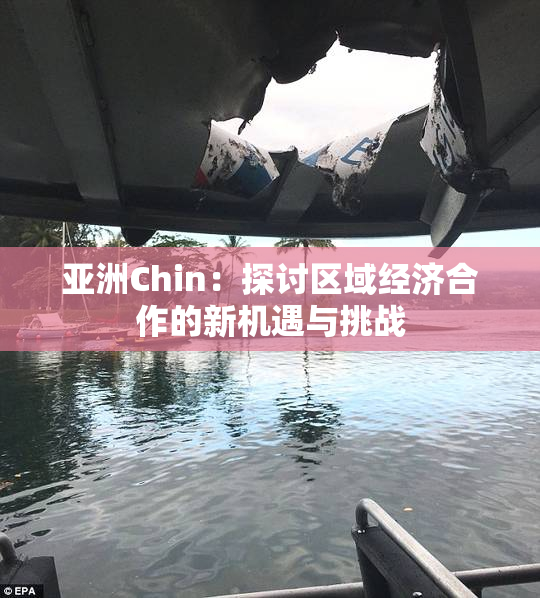 亚洲Chin：探讨区域经济合作的新机遇与挑战