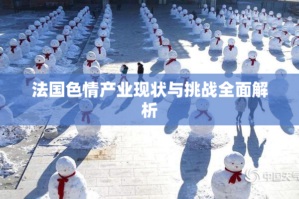 法国色情产业现状与挑战全面解析