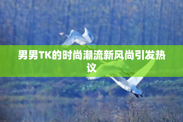 男男TK的时尚潮流新风尚引发热议