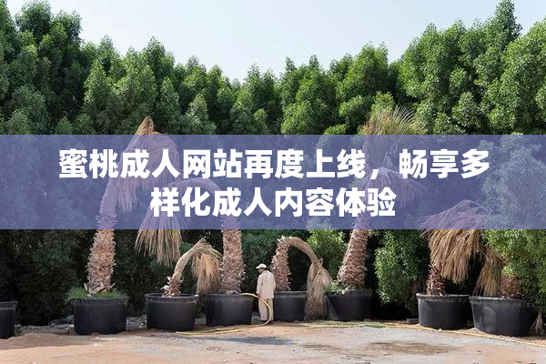 蜜桃成人网站再度上线，畅享多样化成人内容体验