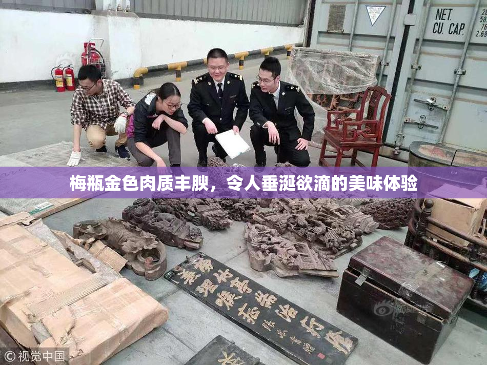 梅瓶金色肉质丰腴，令人垂涎欲滴的美味体验