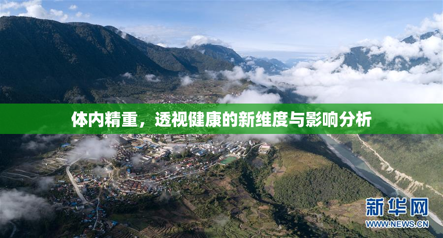体内精重，透视健康的新维度与影响分析