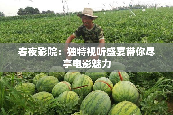 春夜影院：独特视听盛宴带你尽享电影魅力