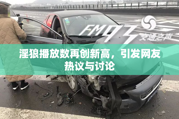 淫狼播放数再创新高，引发网友热议与讨论