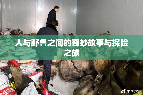 人与野鲁之间的奇妙故事与探险之旅