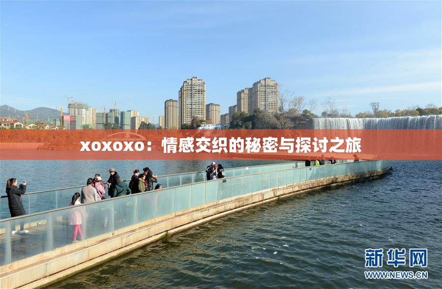 xoxoxo：情感交织的秘密与探讨之旅