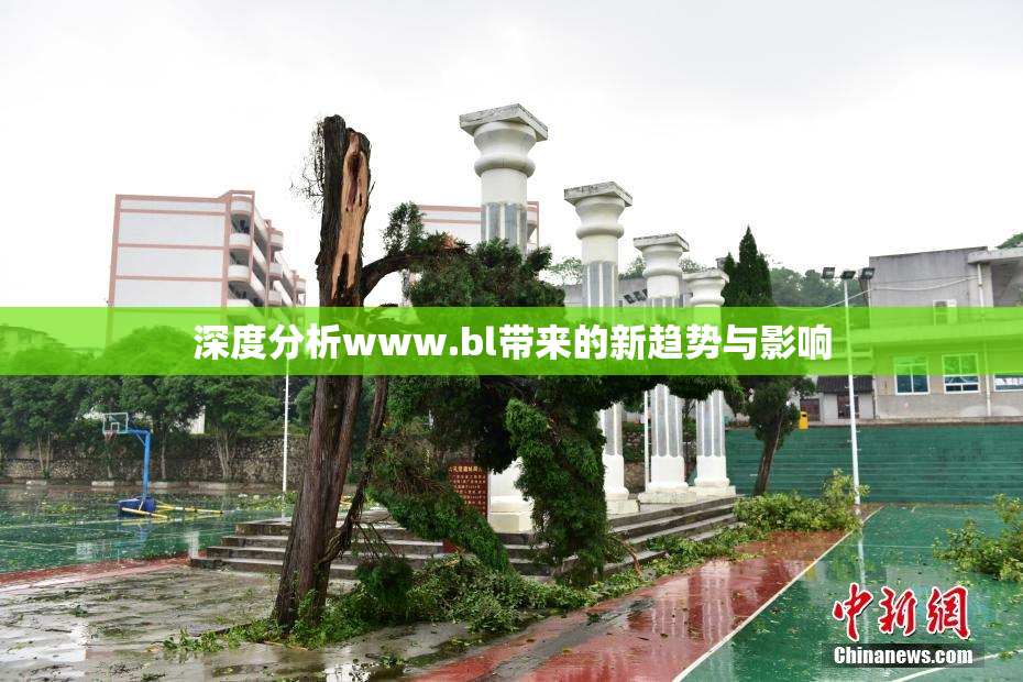 深度分析www.bl带来的新趋势与影响