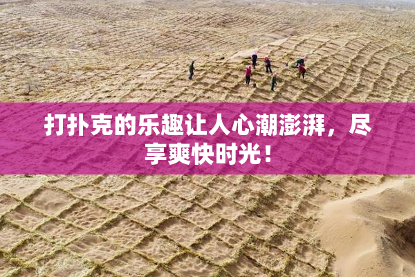 打扑克的乐趣让人心潮澎湃，尽享爽快时光！
