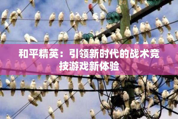 和平精英：引领新时代的战术竞技游戏新体验