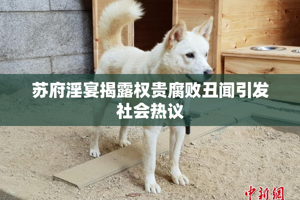 苏府淫宴揭露权贵腐败丑闻引发社会热议