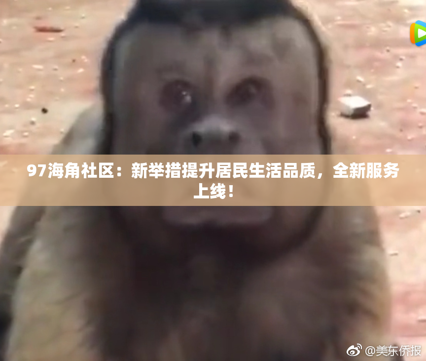 97海角社区：新举措提升居民生活品质，全新服务上线！