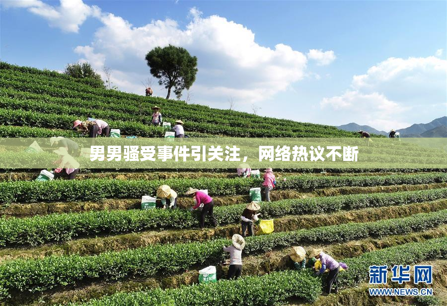 男男骚受事件引关注，网络热议不断