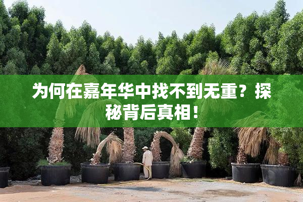 为何在嘉年华中找不到无重？探秘背后真相！