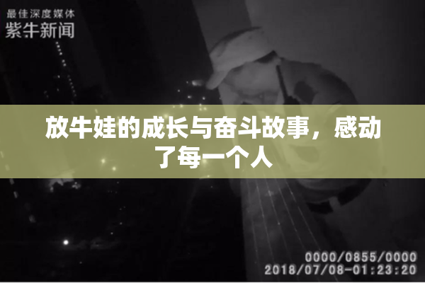 放牛娃的成长与奋斗故事，感动了每一个人