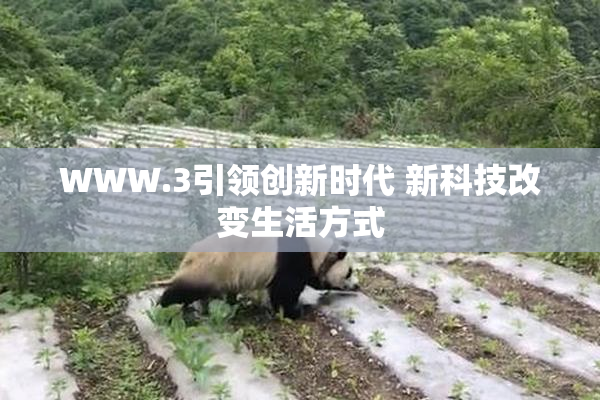WWW.3引领创新时代 新科技改变生活方式