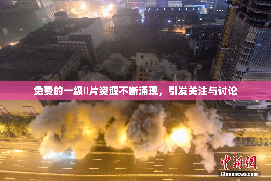 免费的一级婬片资源不断涌现，引发关注与讨论