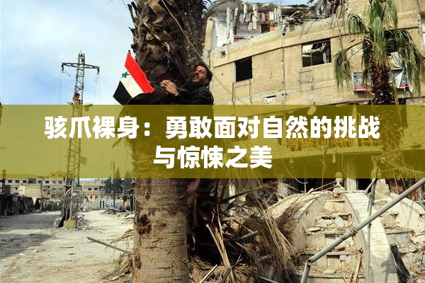 骇爪裸身：勇敢面对自然的挑战与惊悚之美