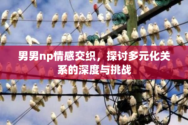 男男np情感交织，探讨多元化关系的深度与挑战