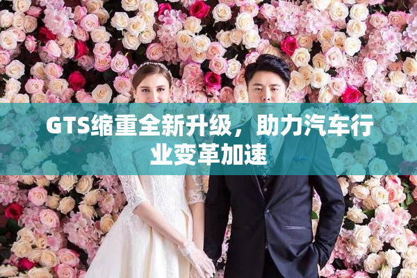 GTS缩重全新升级，助力汽车行业变革加速