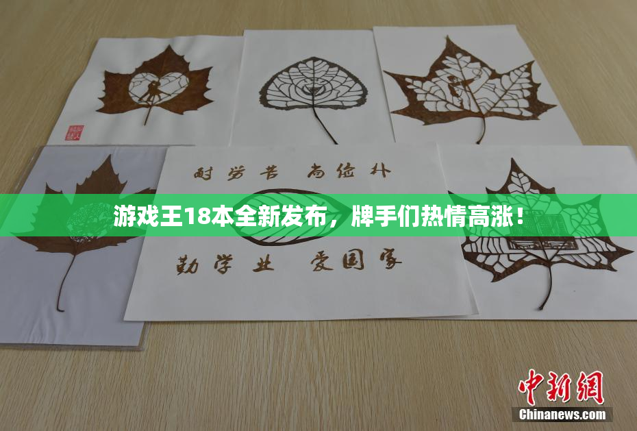 游戏王18本全新发布，牌手们热情高涨！