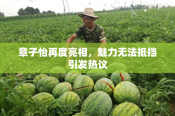 章子怡再度亮相，魅力无法抵挡引发热议