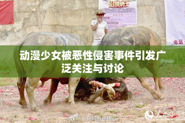 动漫少女被恶性侵害事件引发广泛关注与讨论