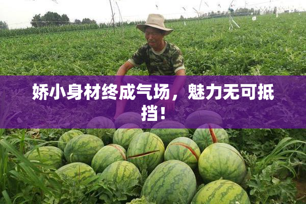 娇小身材终成气场，魅力无可抵挡！