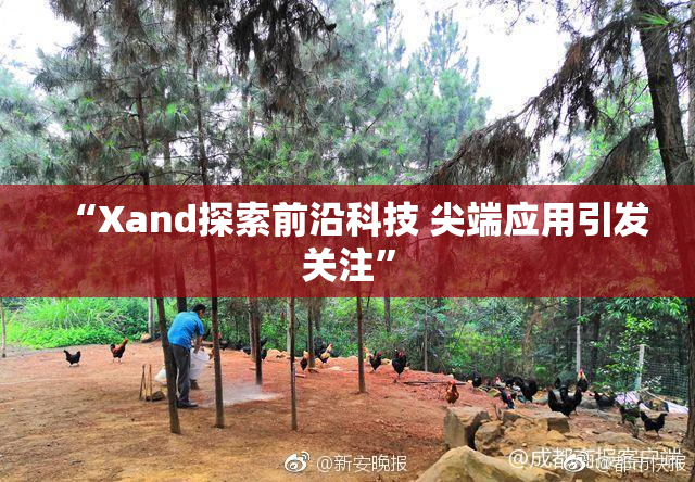 “Xand探索前沿科技 尖端应用引发关注”