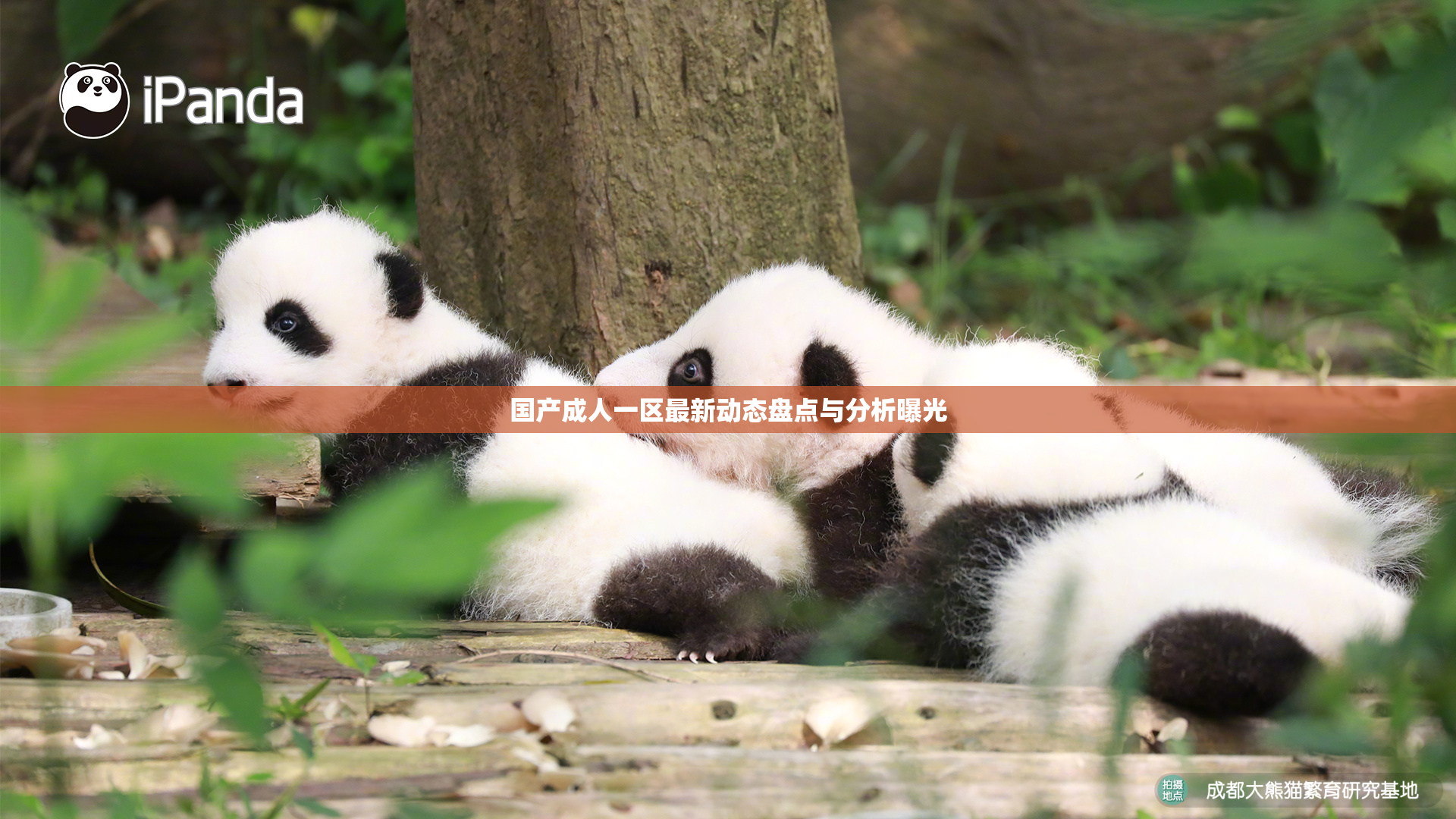 国产成人一区最新动态盘点与分析曝光