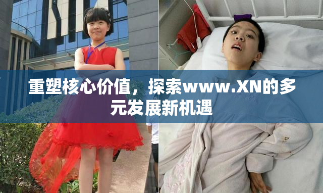 重塑核心价值，探索www.XN的多元发展新机遇