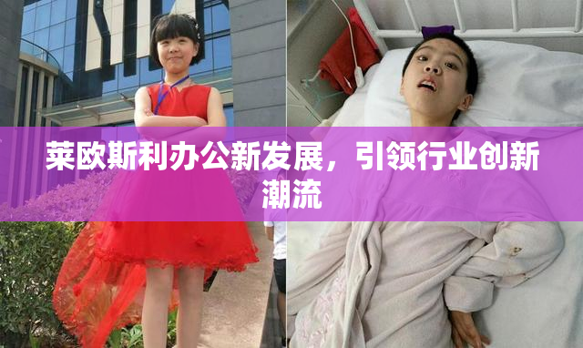 莱欧斯利办公新发展，引领行业创新潮流