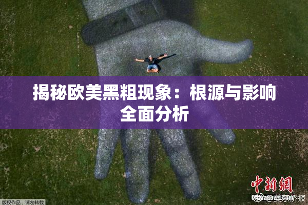 揭秘欧美黑粗现象：根源与影响全面分析