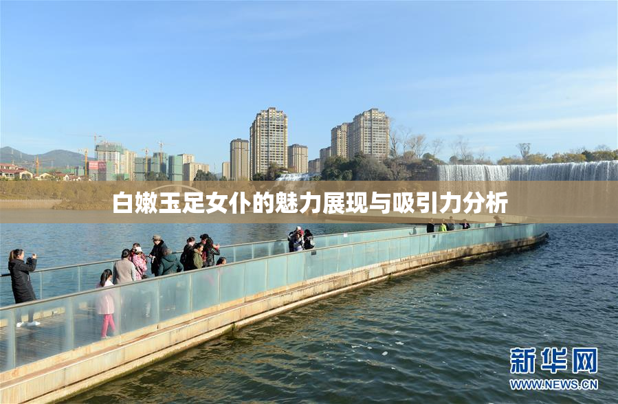 白嫩玉足女仆的魅力展现与吸引力分析