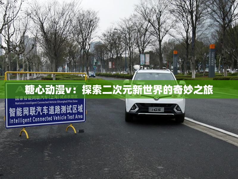 糖心动漫v：探索二次元新世界的奇妙之旅