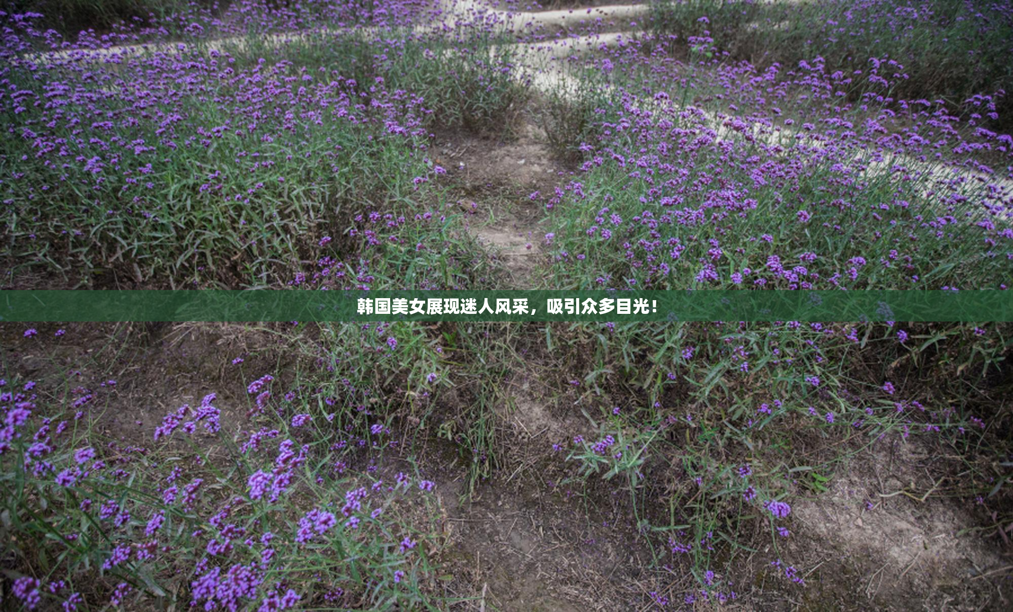韩国美女展现迷人风采，吸引众多目光！