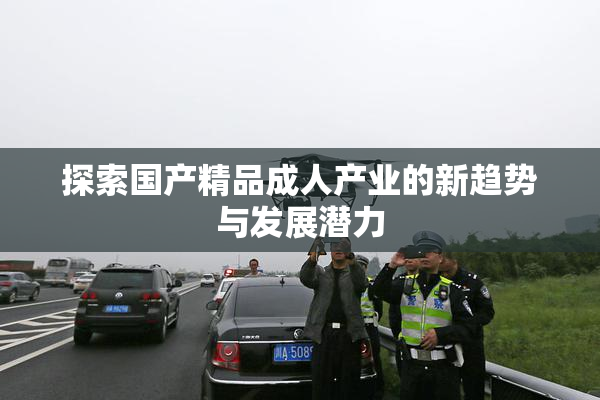 探索国产精品成人产业的新趋势与发展潜力