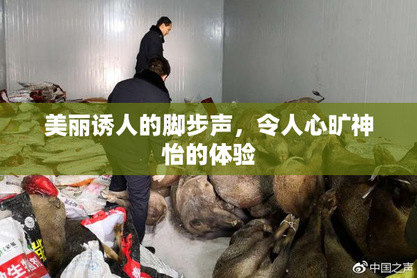 美丽诱人的脚步声，令人心旷神怡的体验