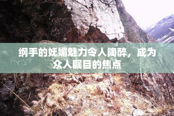 纲手的妩媚魅力令人陶醉，成为众人瞩目的焦点