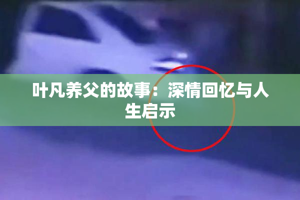 叶凡养父的故事：深情回忆与人生启示