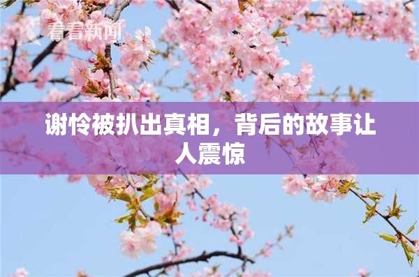 谢怜被扒出真相，背后的故事让人震惊
