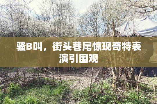 骚B叫，街头巷尾惊现奇特表演引围观