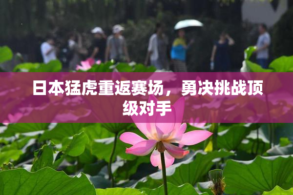 日本猛虎重返赛场，勇决挑战顶级对手