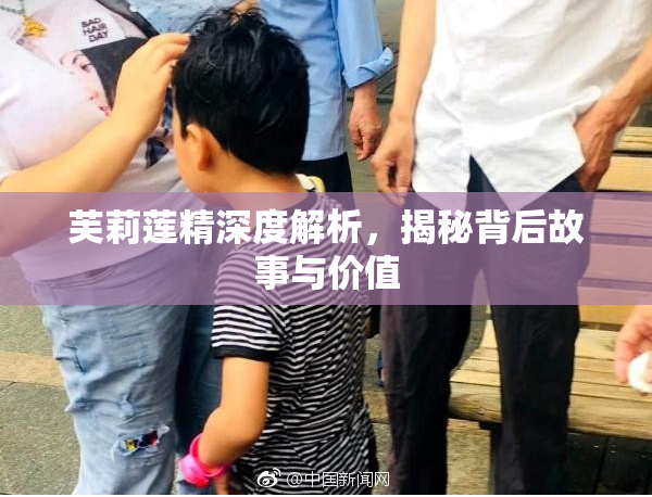 芙莉莲精深度解析，揭秘背后故事与价值