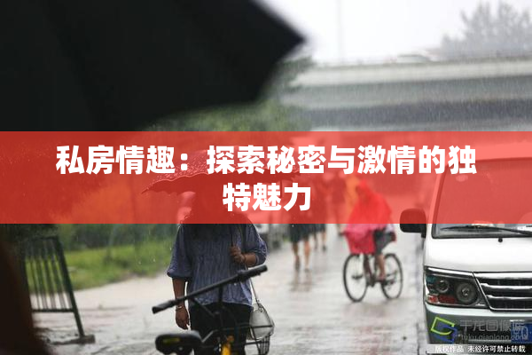 私房情趣：探索秘密与激情的独特魅力