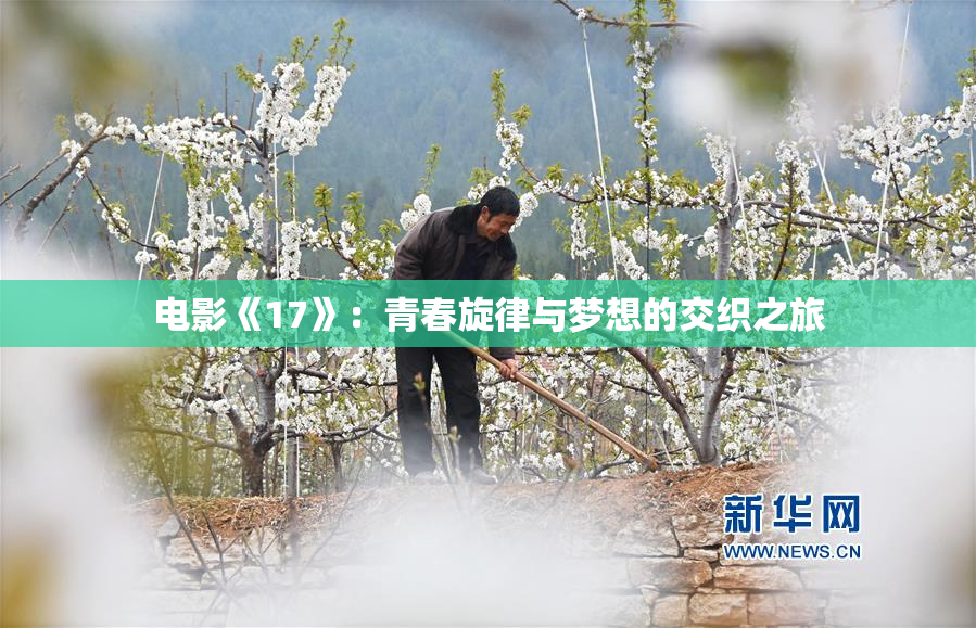 电影《17》：青春旋律与梦想的交织之旅